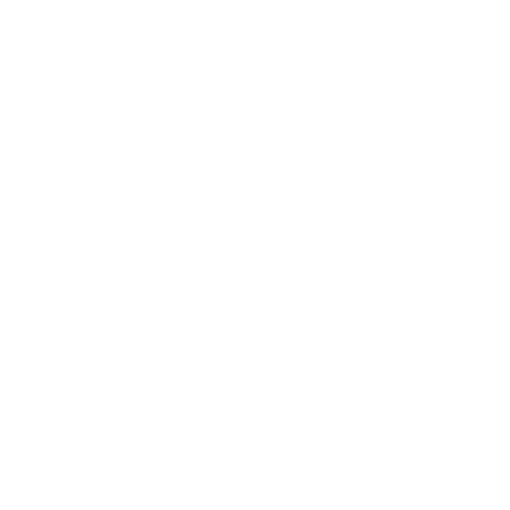 Building Bridges Schriesheim e.V. Logo
